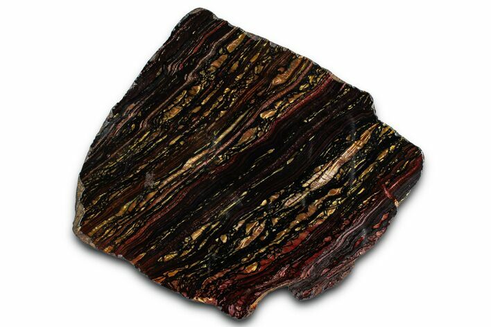 Polished Tiger Iron Stromatolite Slab - Billion Years #351801